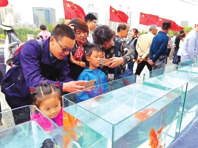 長假期間，有趣的活動吸引了市民圍觀